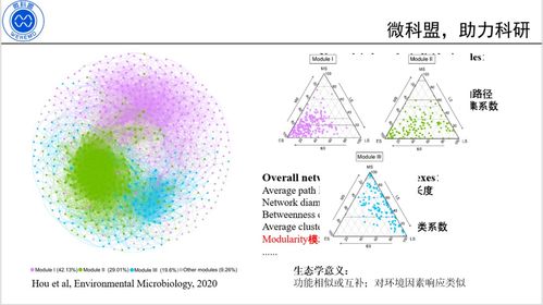 從零到一 構(gòu)建微生物生態(tài)相關(guān)性網(wǎng)絡(luò)驅(qū)動生物基材料技術(shù)研發(fā)